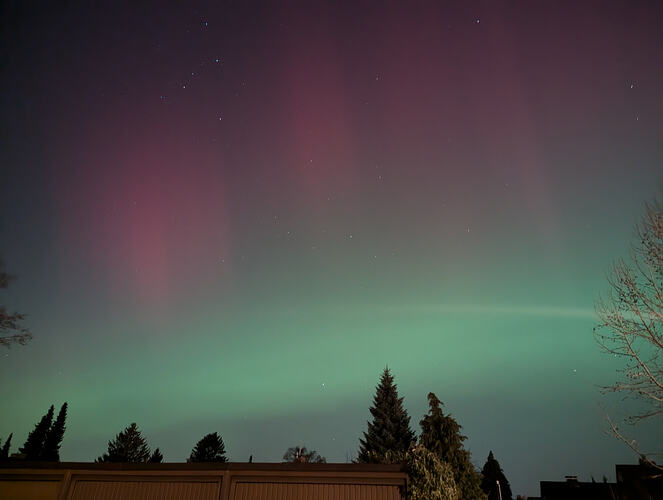 PXL_20260119_213237027.NIGHT