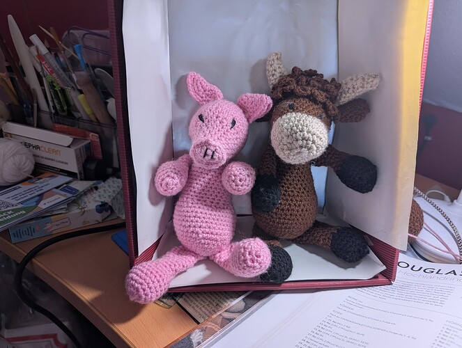 PXL_20250509_085106293