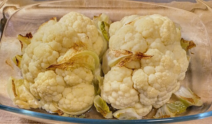 IMG_20240116_194610-01