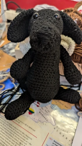 IMG_20250321_132337_385