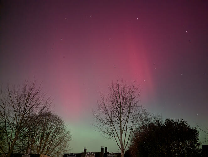 PXL_20260119_221051698.NIGHT