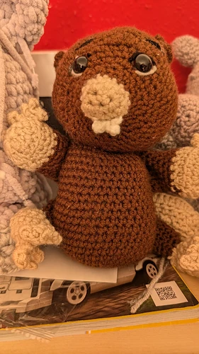 IMG_20250321_132335_069