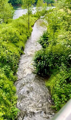 IMG_5434