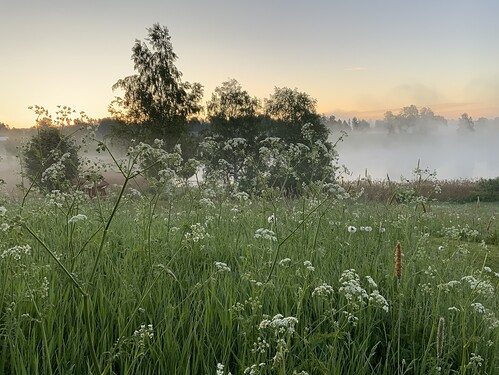 IMG_2494